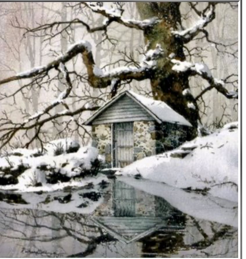 Ink & Claw: Bulbasaur, Ivysaur & Venusaur