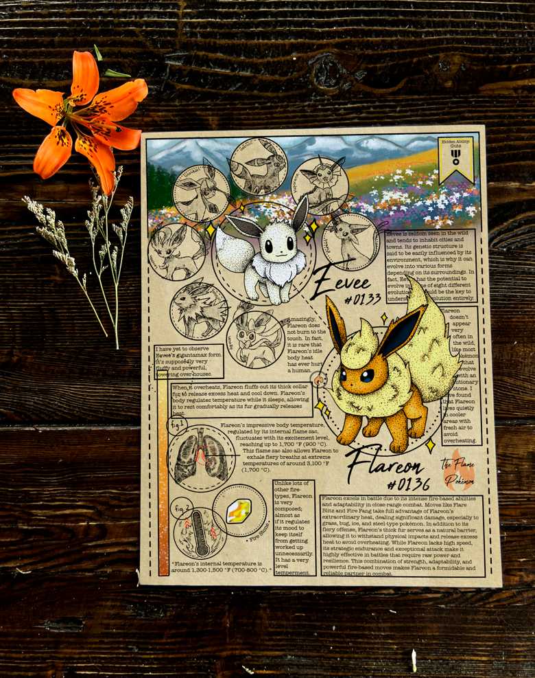 Elizabeth Hackett Anema compilation