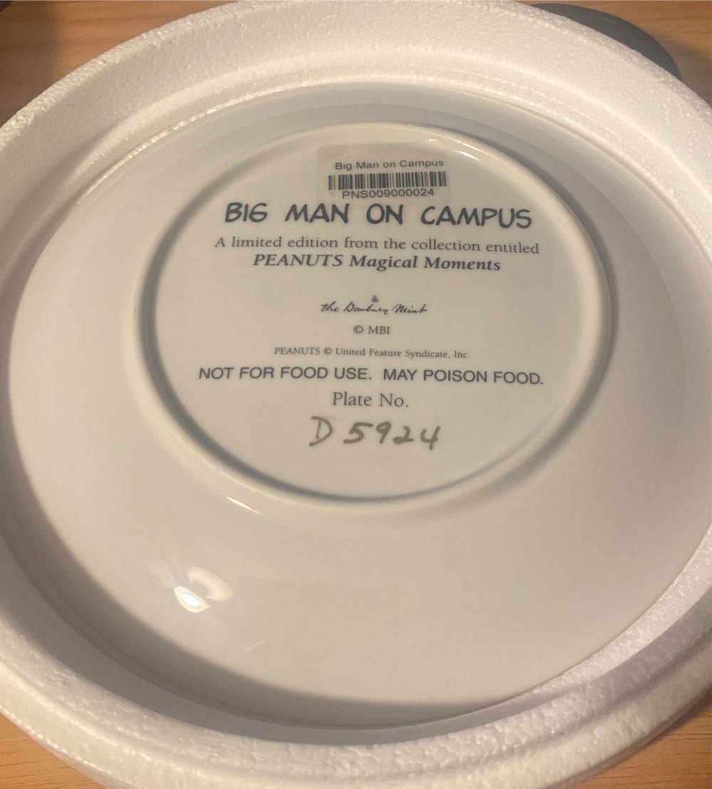 Danbury Mint ”big Man On Campus” Snoopy Charlie Brown Peanuts Collectible Plate - Charles Schulz art collectible - Main Image 2