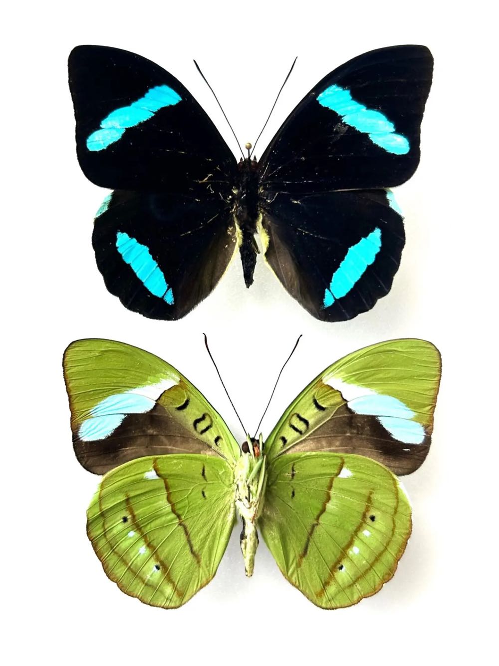 The Art of World of Warcraft Cataclysm