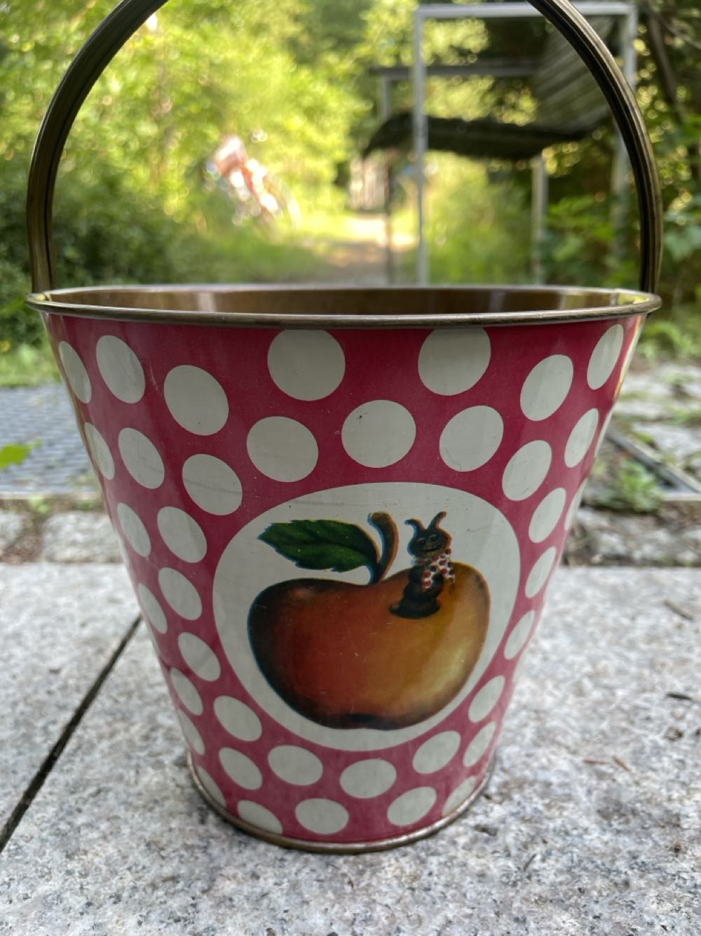 Hewitson’s Olivewing