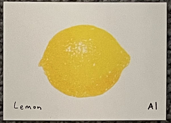 Dimensions Needle Felting Kit Butterfly 72-73917