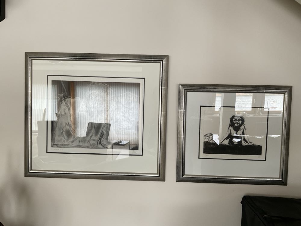 Artdoll / Blythe Doll / Fee / Hime Hime Doll