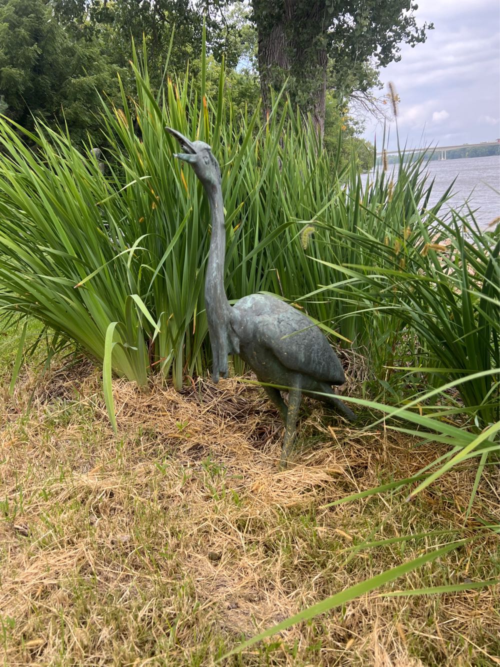 Coco Disney Pixar Coco Dvd Disney Dvd New The Dvd Good Dvd By Anthony New Coco Animated Of Lee Dvd Very Family