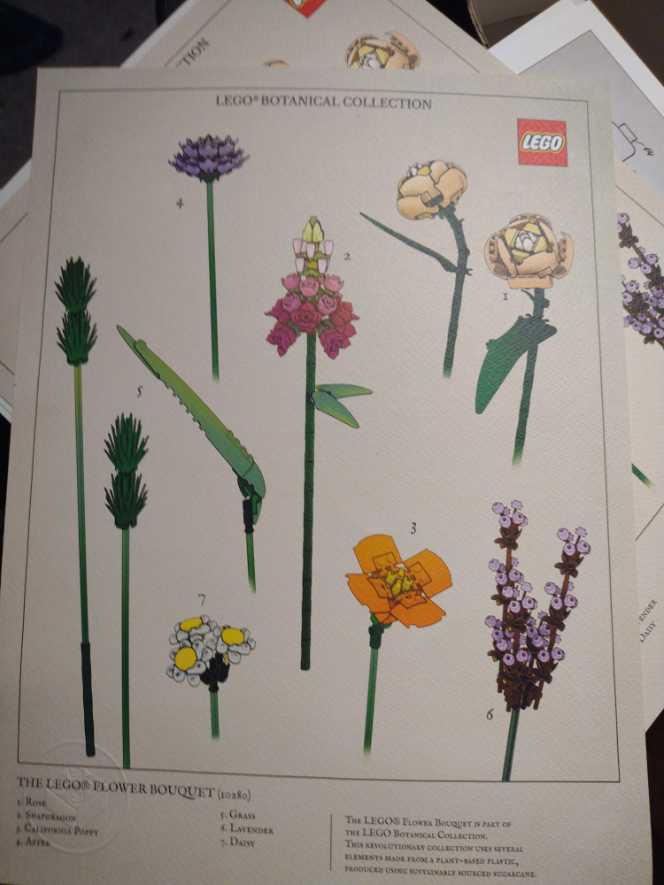 Duvel Departure At Gate