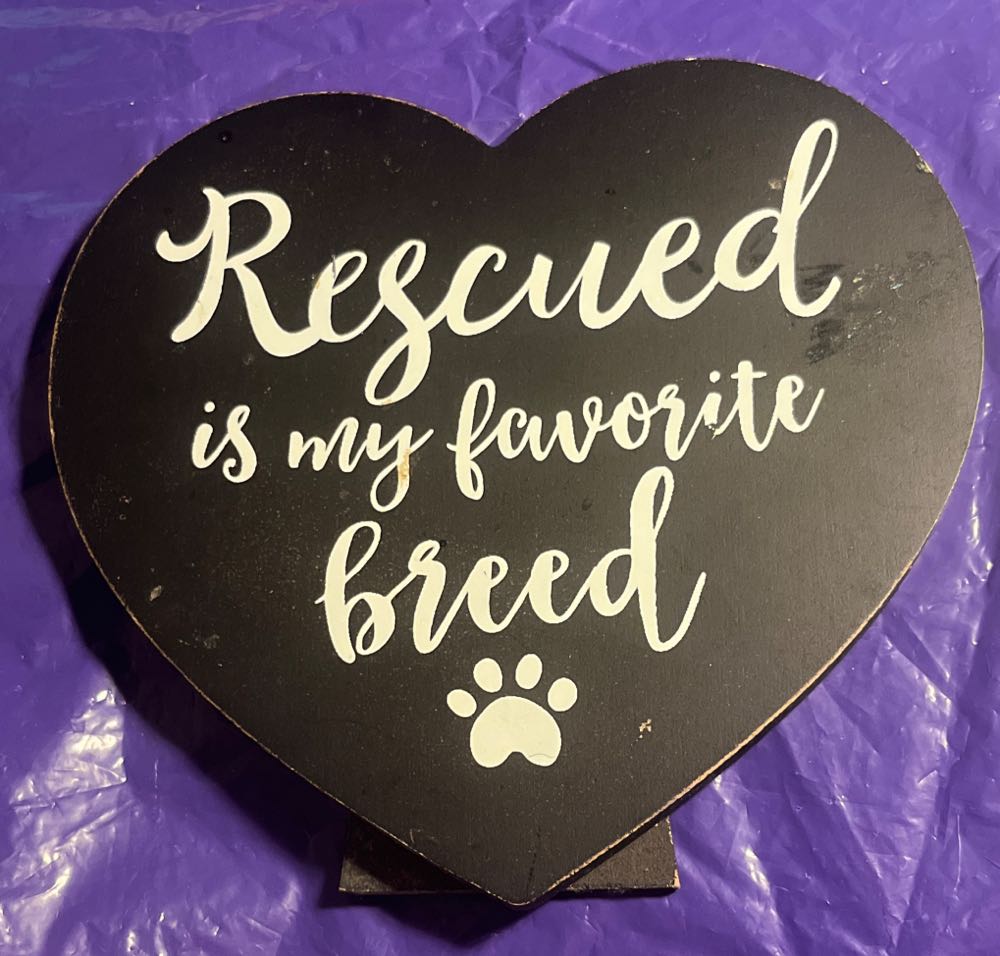 Sonic X Shadow Generations Gamestop Promo Box