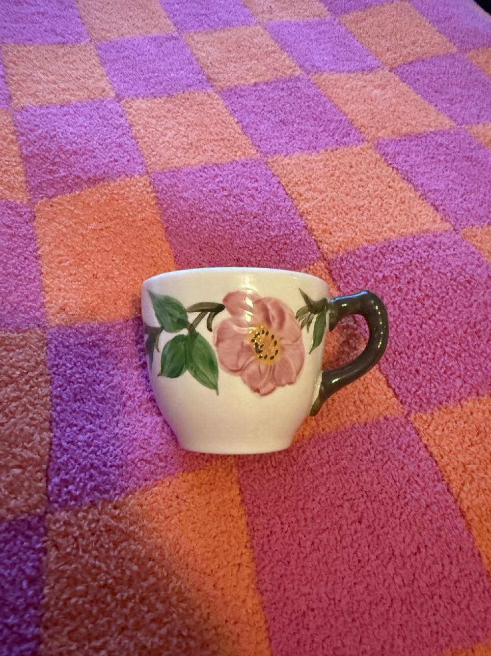 Teacup And Saucer - Franciscan art collectible - Main Image 2