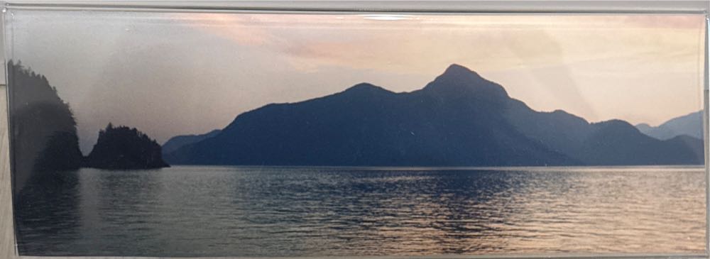 Medicine Dropper Painting