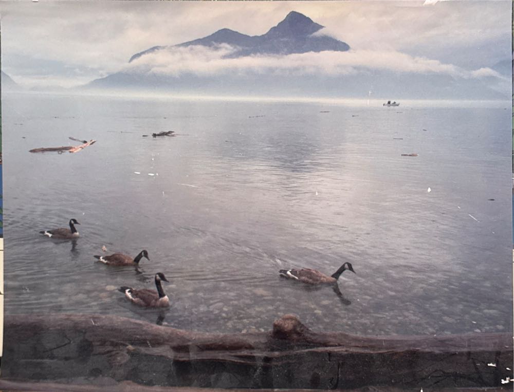 Rust Vallejo Model Air 71.080 17 ml