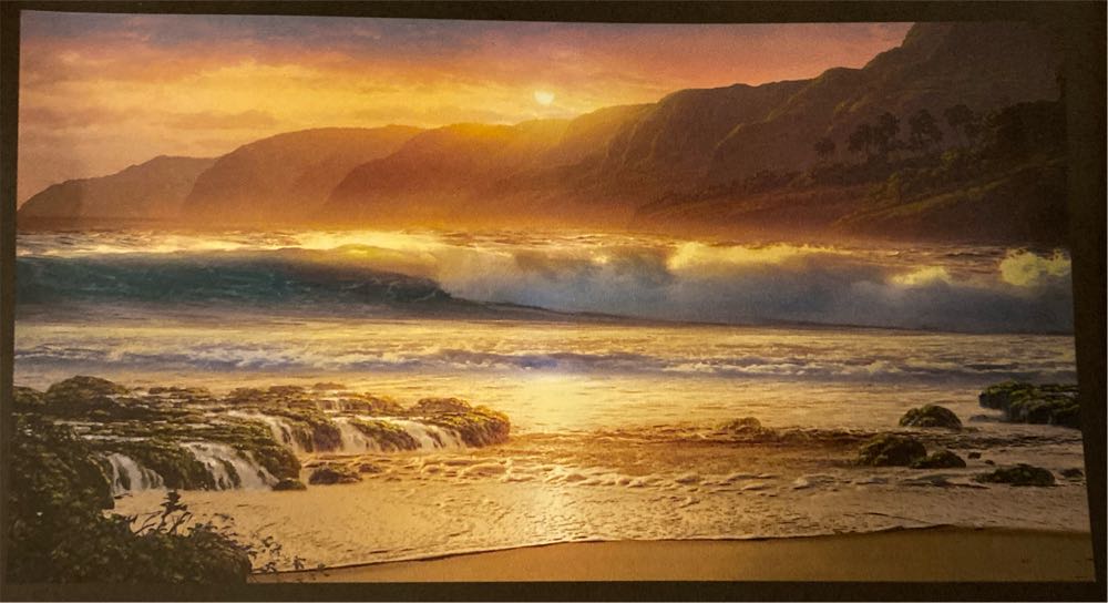 Chairs With Cut Out Back