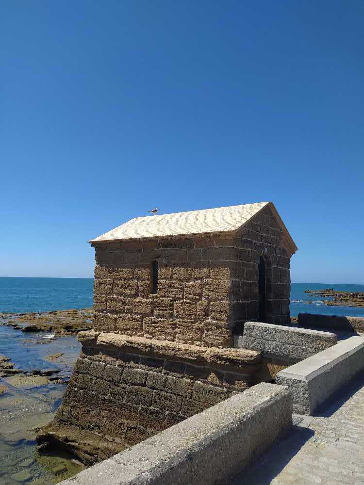 RP15404: Spider-Man Web Heroes