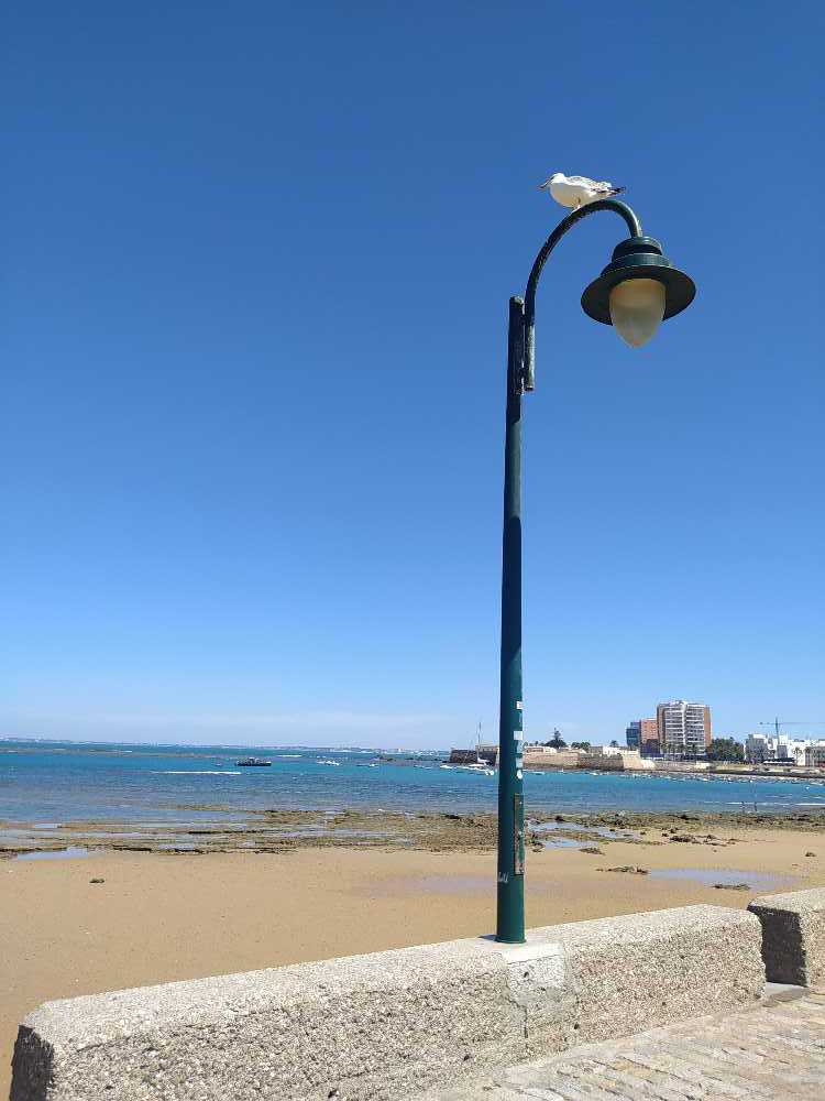 Ak Interactive 3rd Gen Acrylic Pastel Yellow 17ml