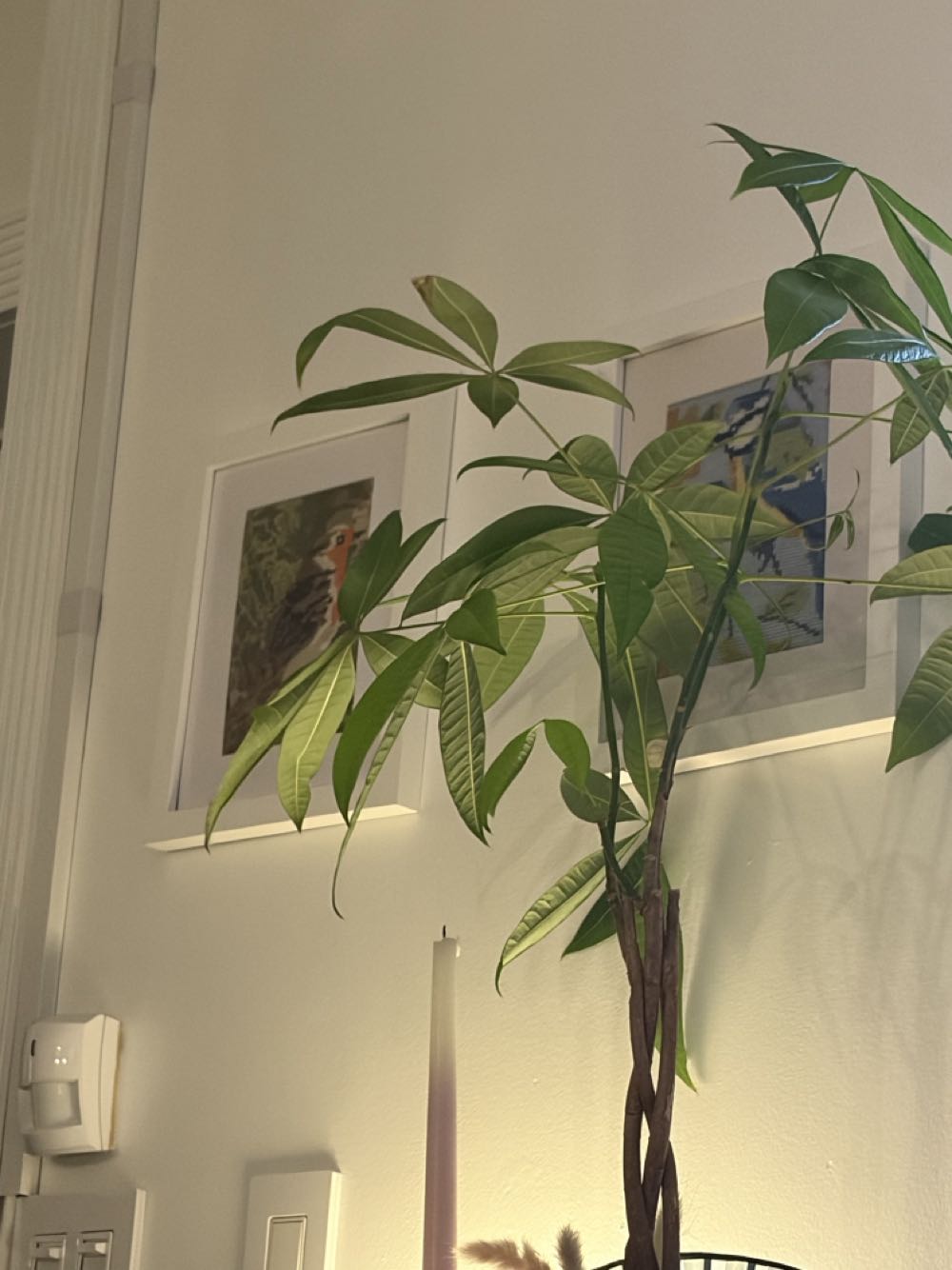 Hot Wheels Ferrari Testarossa