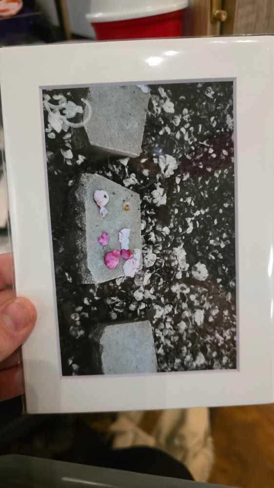 Edition Diamond Dotz® Safe Harbour Special Edition Painting Kit