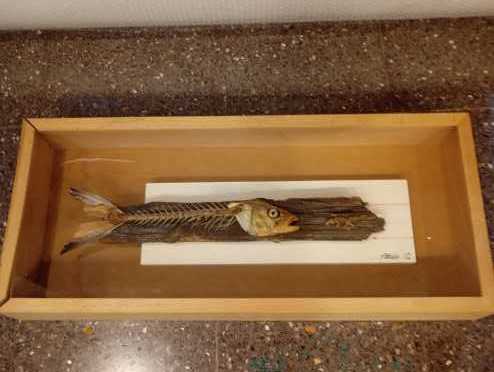 Daffy And Bugs In Kaboom