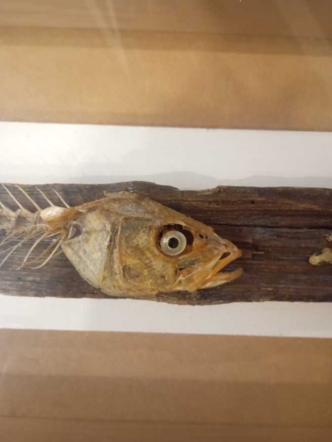 RJ-016  art collectible - Main Image 2