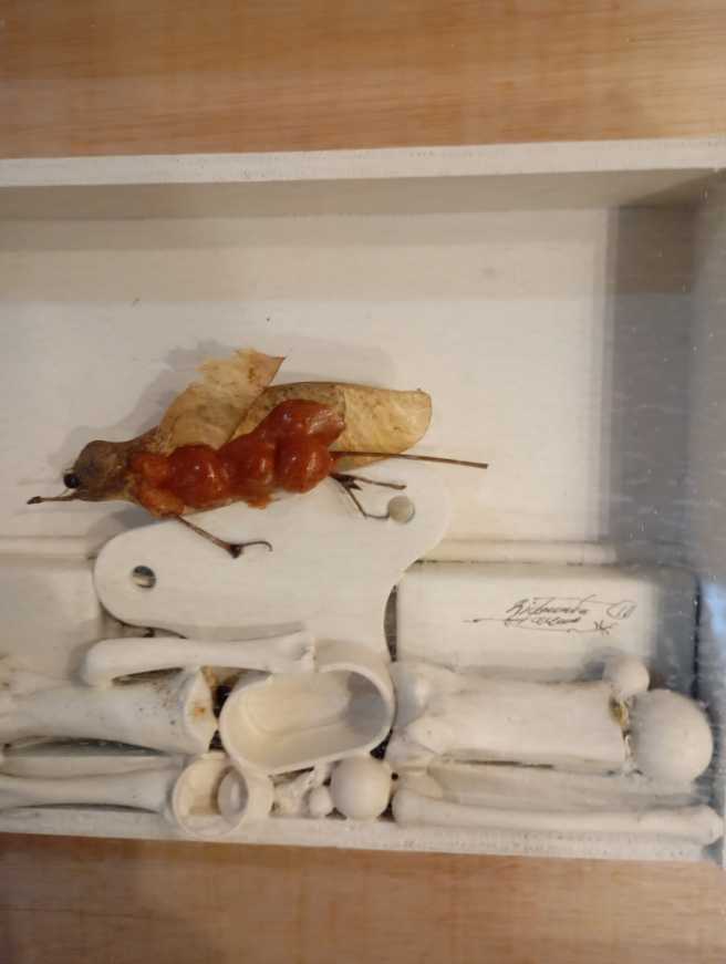 RJ-017 a  art collectible - Main Image 2