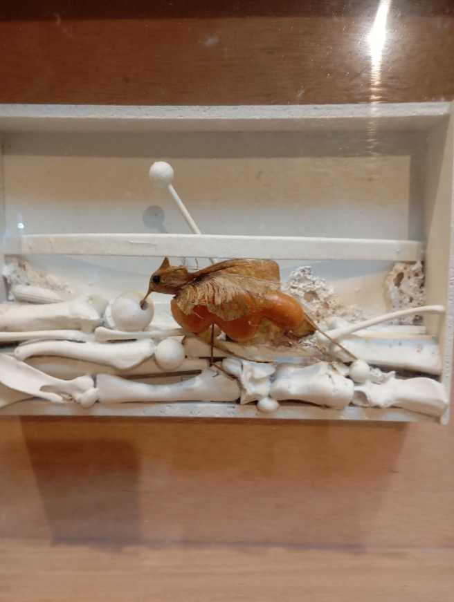 RJ-017 b  art collectible - Main Image 2