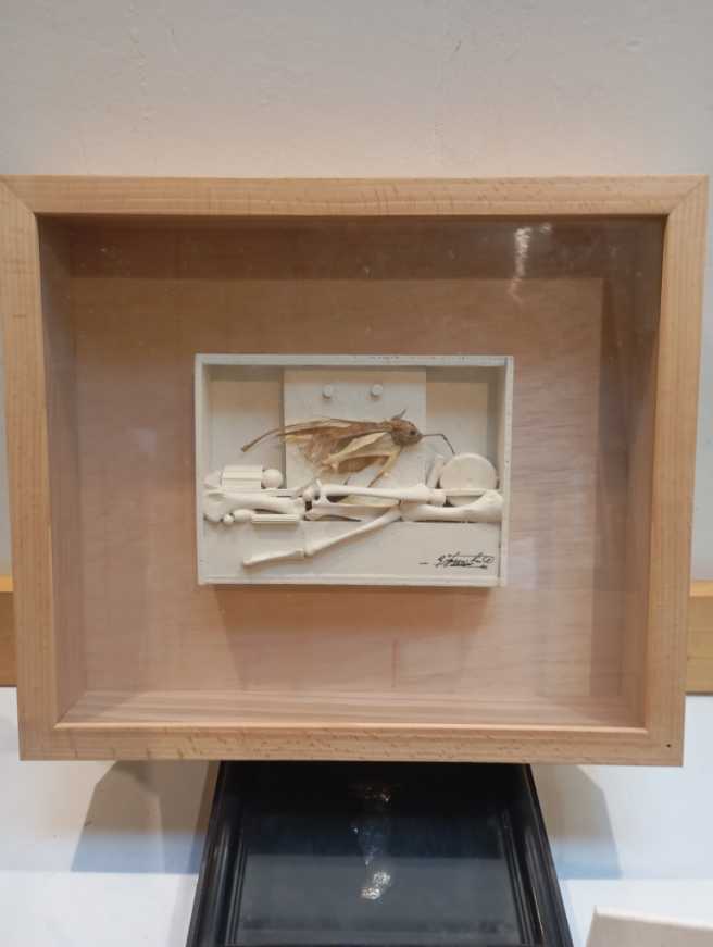 Meissen Blue Onion Server With Basket Weave Cover