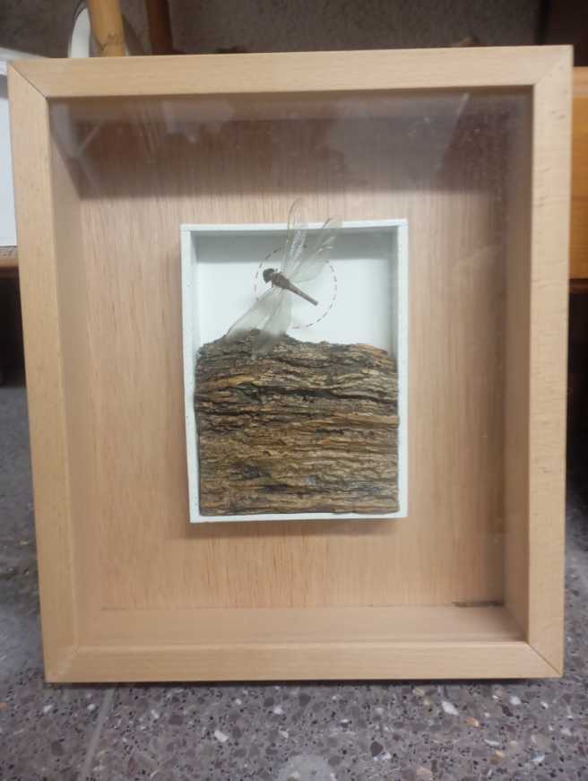 AMT 1964 Mercury Comet Caliente