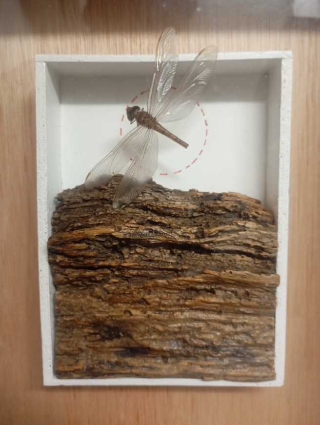 RJ-035  art collectible - Main Image 2