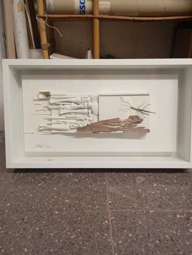 Mike’s Dale Earnhardt 1975 Dodge Charger 10,000 RPM