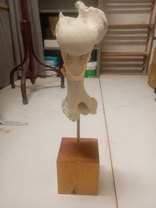 Panini Score Football Hobby Box 10 Packs