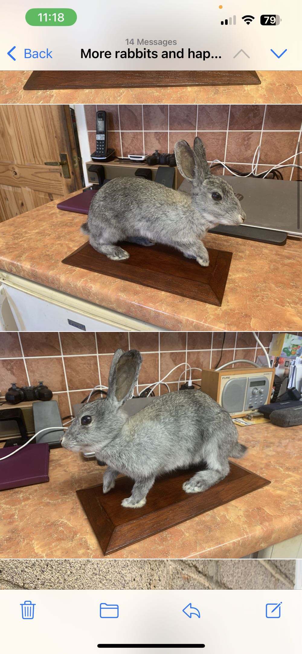 Opi Nail Lacquer Keep It Surreal | Sheer Pastel Coral Shimmer Chip Resistant Nail Polish | Opi’m Dreaming Collection