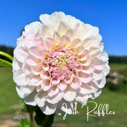 Dark Fantasy Luis Royo art - Divine Gates