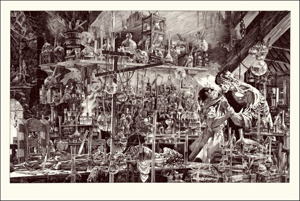 Black Cat Watching Reflection In A Pond