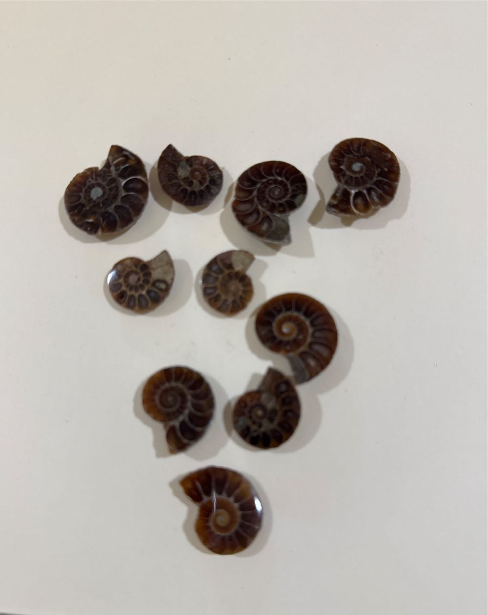 2b Celebrating Mastery - Duvelse Eigenzinnigheid 