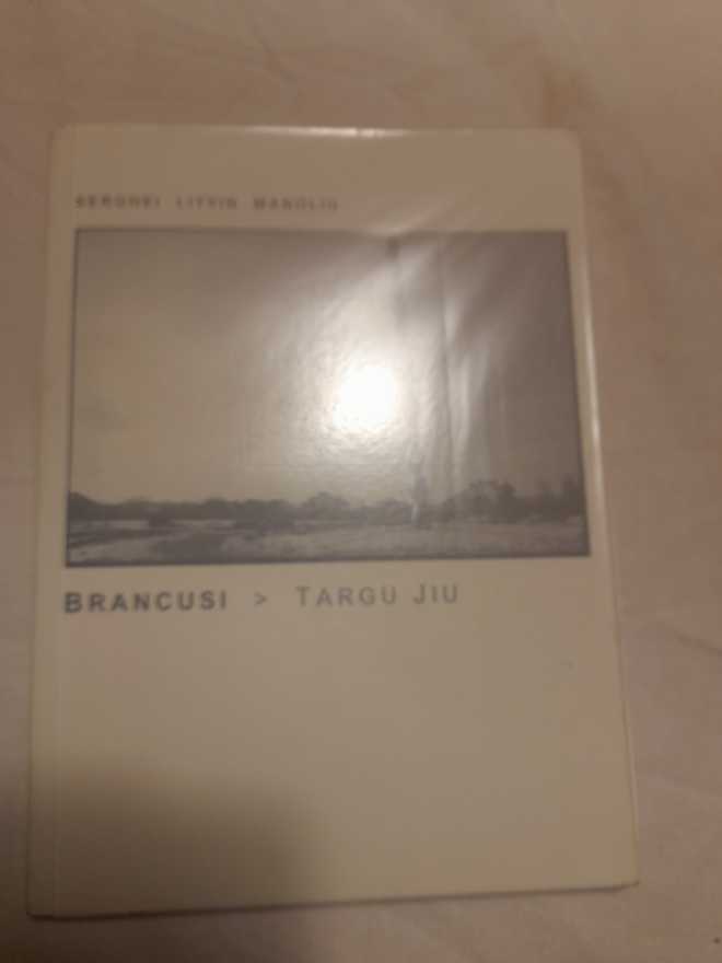 Pokémon Legends Arceus / Hisui Region