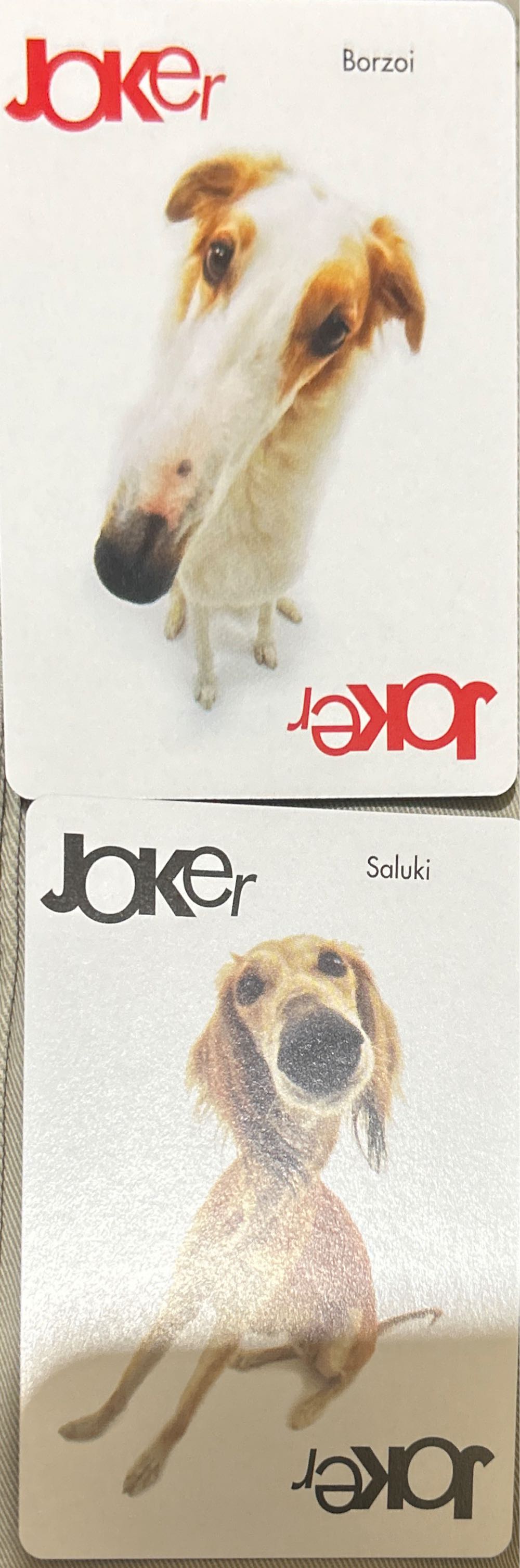 Artlist Collection The Dog Playing Cards   board game collectible [Barcode 073854010501] - Main Image 2