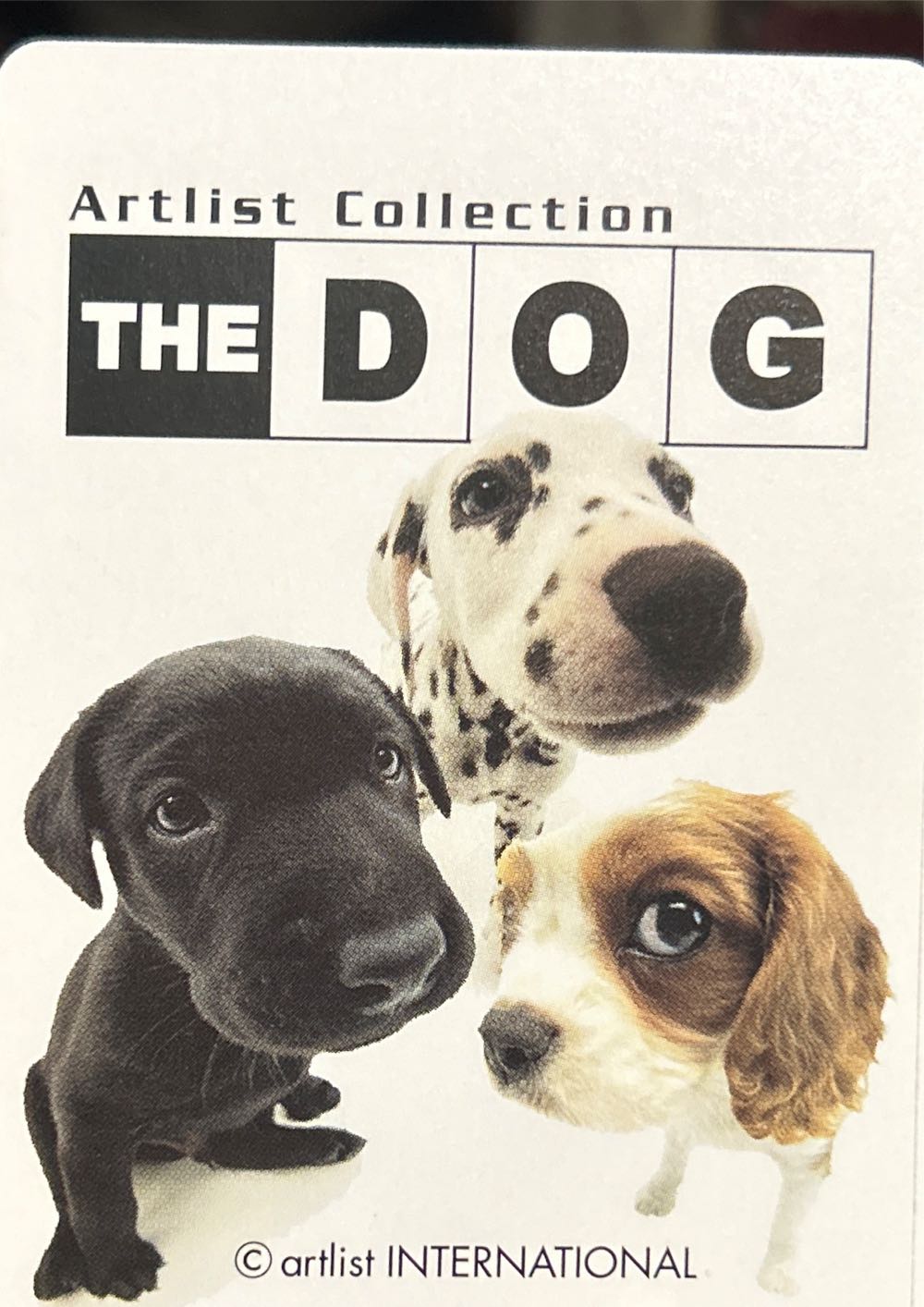 Artlist Collection The Dog Playing Cards   board game collectible [Barcode 073854010501] - Main Image 4