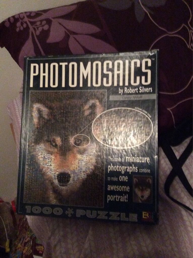 Cinderella, Wishes Upon a Dream