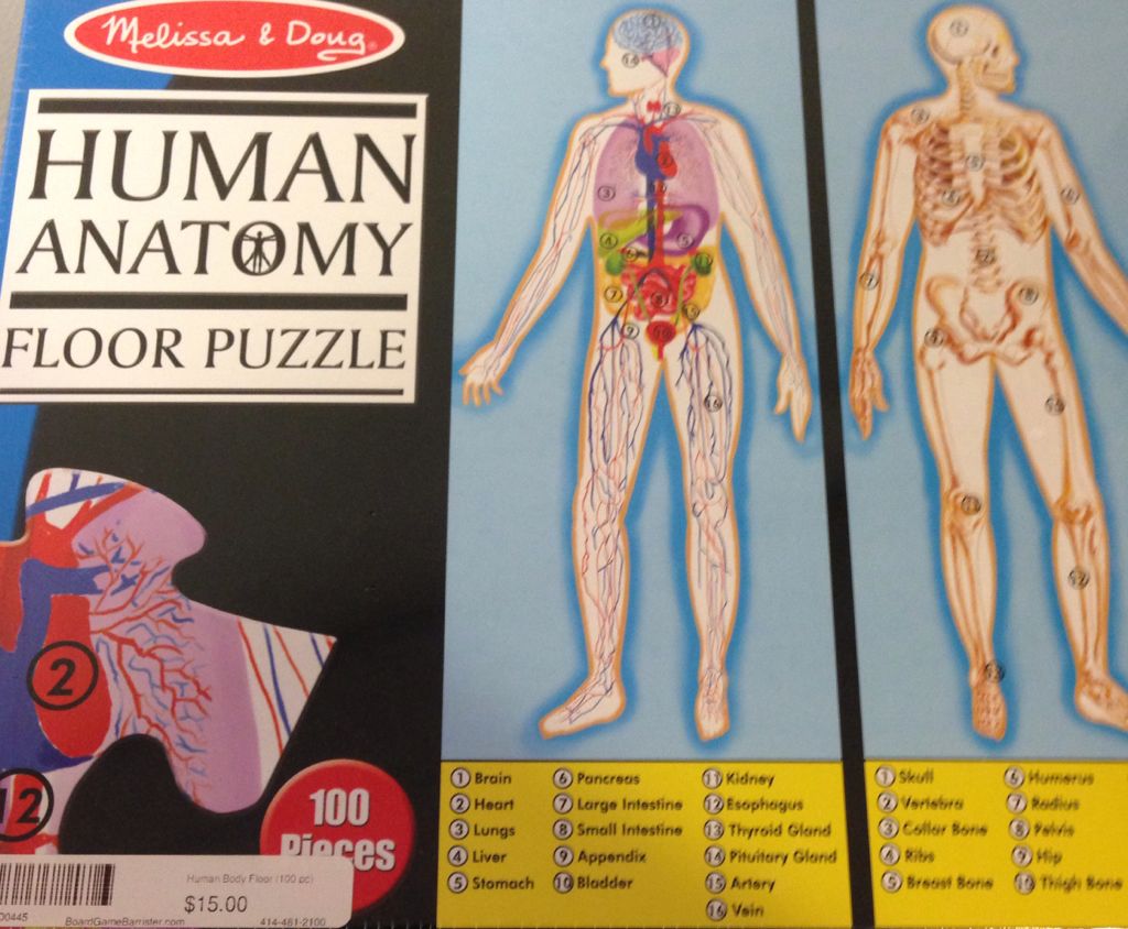 Human Anatomy Floor Puzzle  board game collectible [Barcode 000772004459] - Main Image 1