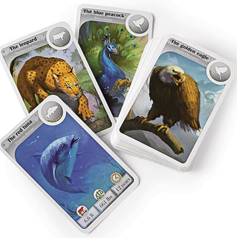 Cardline Animals  (2-8) board game collectible [Barcode 3558380018056] - Main Image 2