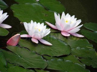 WAS KET DIE WELT? von Parker fÃ¼r 2-6 Spieler ab 10 Jahren Top Zustand