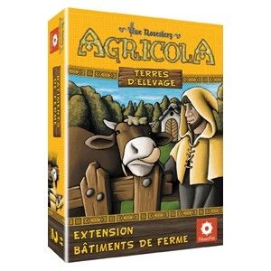 Carcassonne: Amazonas