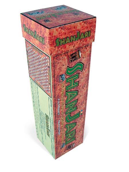 Trias - Life In Prehistory