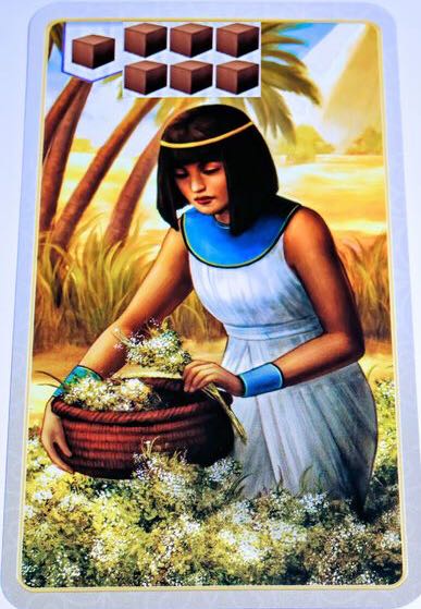 Century Spice Road  (2-5) board game collectible [Barcode 826956400004] - Main Image 4