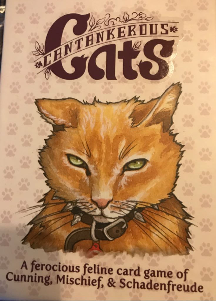 Catan: Steden en Ridders