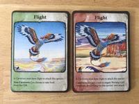 Evolution: Flight Expansion  (2 to 6) board game collectible [Barcode 892884000814] - Main Image 3