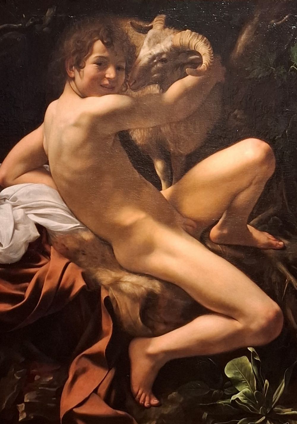 Skillmatics Memory Match Animal Planet 2 Ways To Play New Sealed