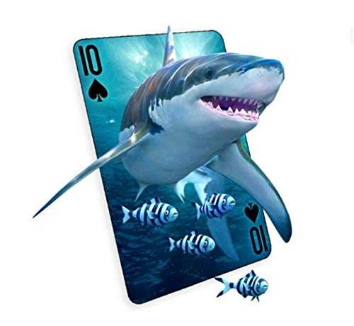 2000’s Music Trivia