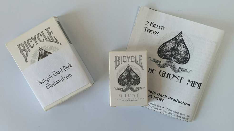 Mud Puddle Books Glass Chess Set & Instruction Book Clear Frosted Chessboard 9.75” Step