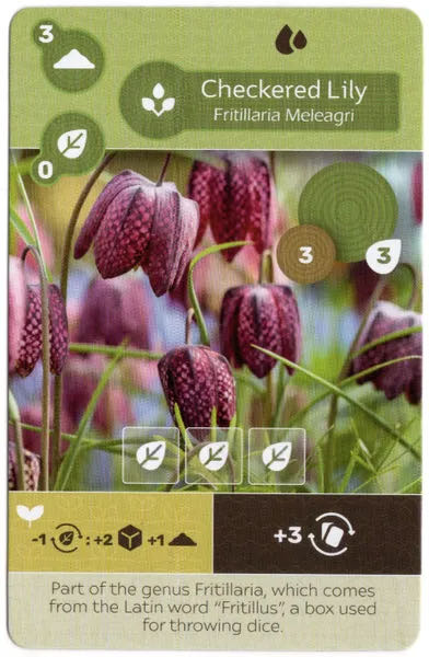 Gentlemen’s Hardware Campfire Quandary Playing Cards