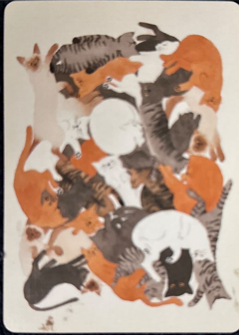 52 Zoo Playing Cards  board game collectible [Barcode 742833327359] - Main Image 3