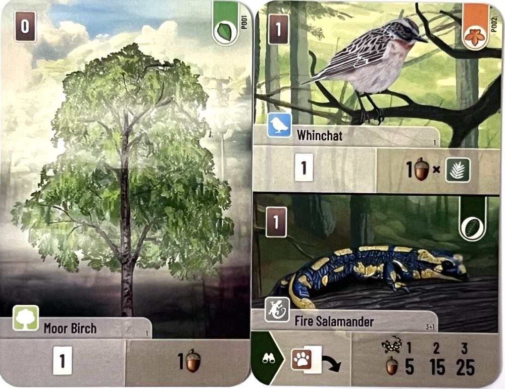 Shantell Pride Playing Cards Deck Sealed Whitney New Martin By You