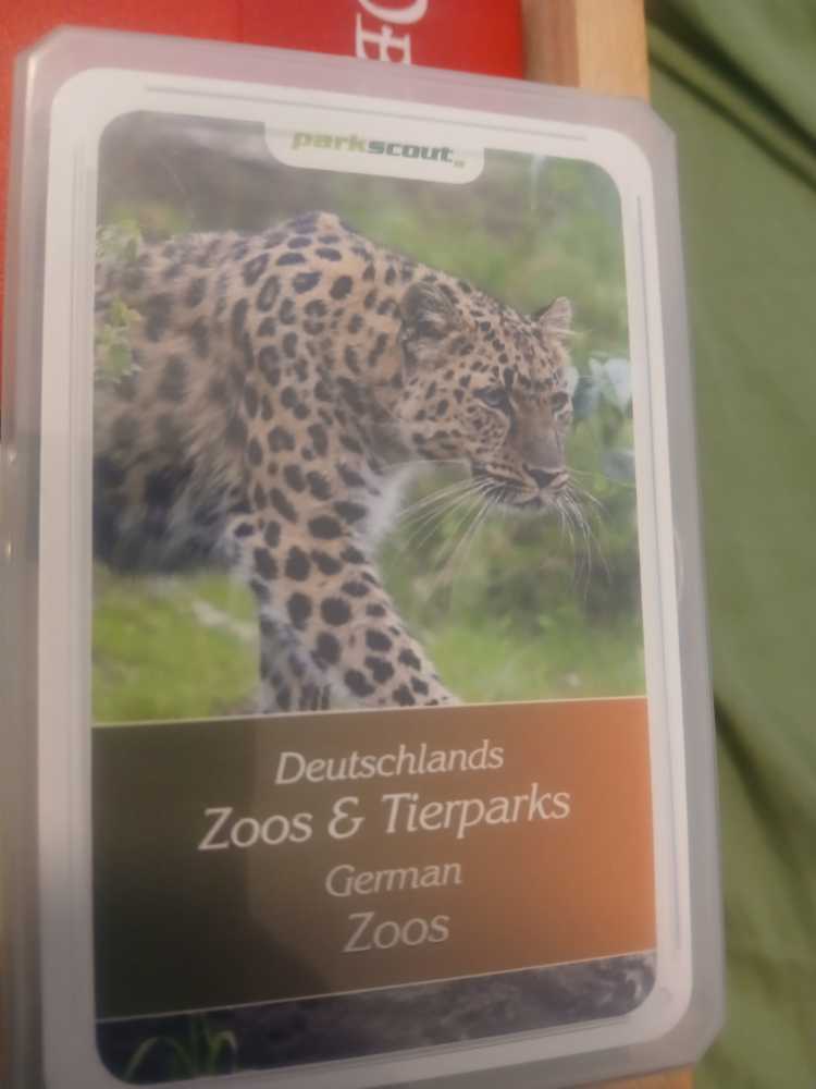 Friday The 13th Coffin Shaped Deck Of Playing Cards Multi Color